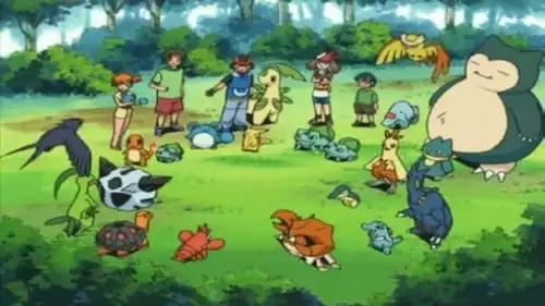 Pokémon S8E41