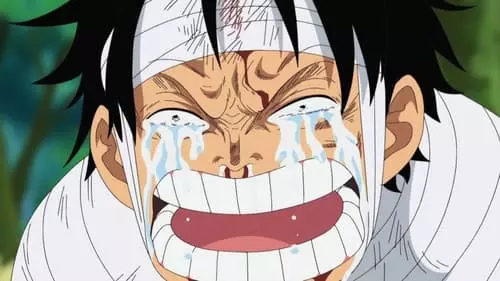 One Piece S13E491