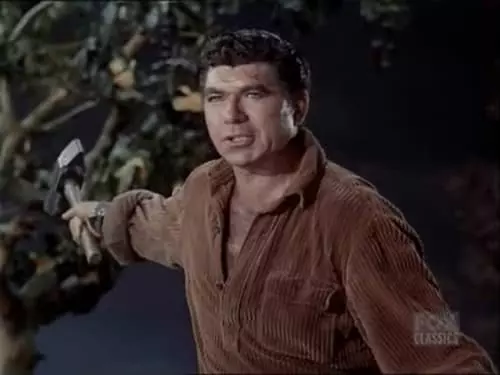 Bonanza S2E34