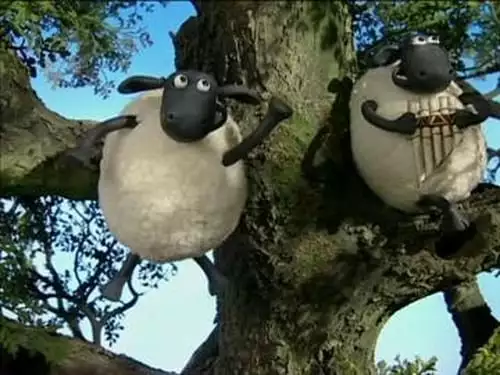 Shaun, o Carneiro S1E39