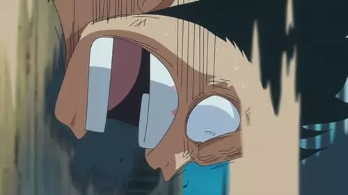 One Piece S14E567