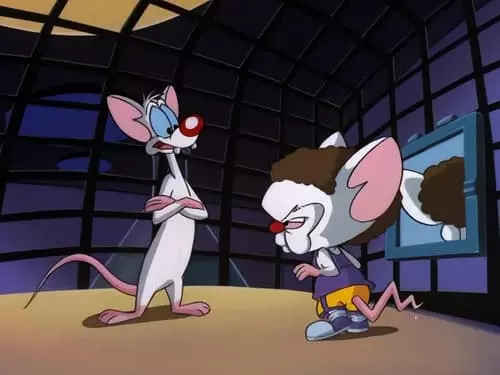 Pinky e o Cérebro S3E10