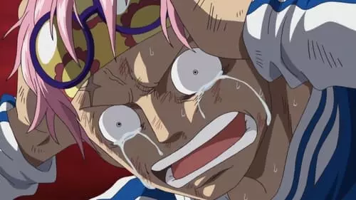 One Piece S13E488