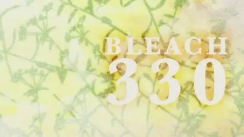 Bleach S1E330