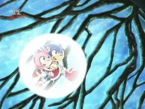 Sonic X S3E24