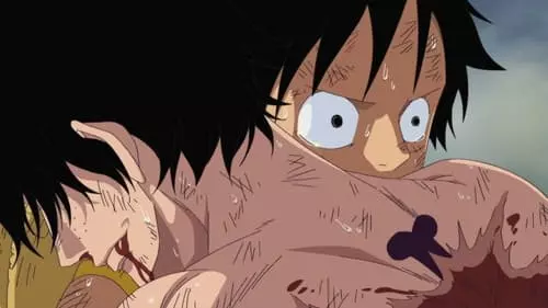 One Piece S13E483