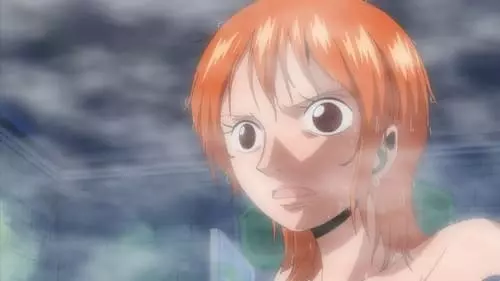 One Piece S10E341