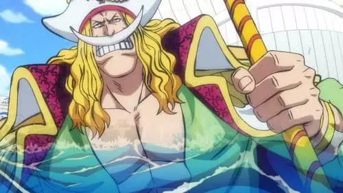 One Piece S21E964