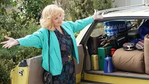 Os Goldbergs S7E17