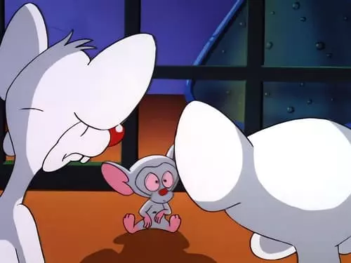 Pinky e o Cérebro S2E15