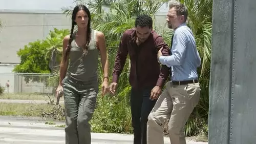 Burn Notice: Operação Miami S7E9