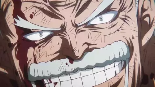 One Piece S22E1122