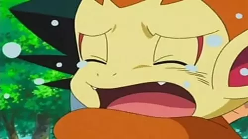 Pokémon S11E1