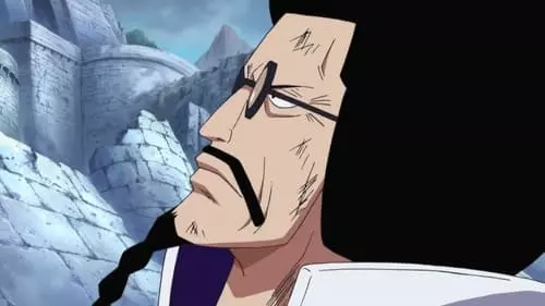 One Piece S13E490