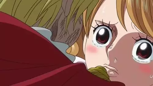 One Piece S19E810