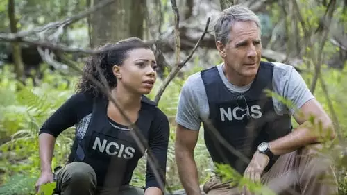 NCIS: Nova Orleans S2E8