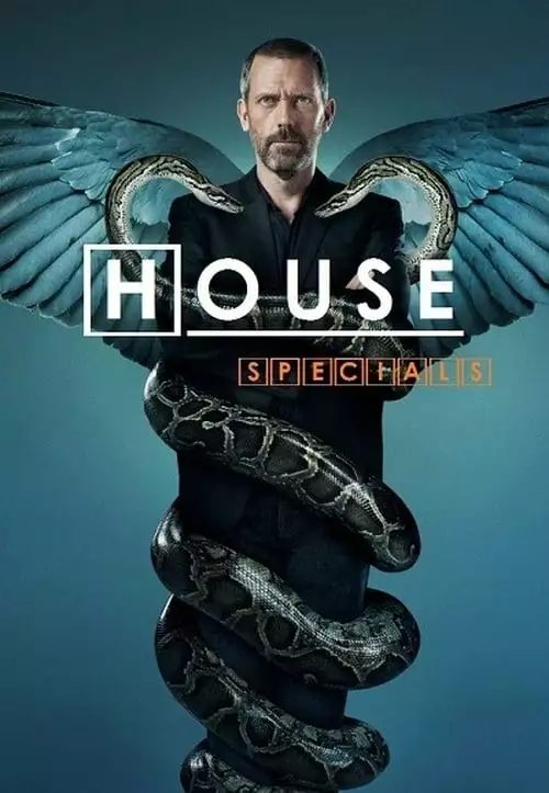 Dr. House – Especiais