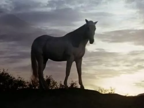 O Homem que Veio do Céu S4E10