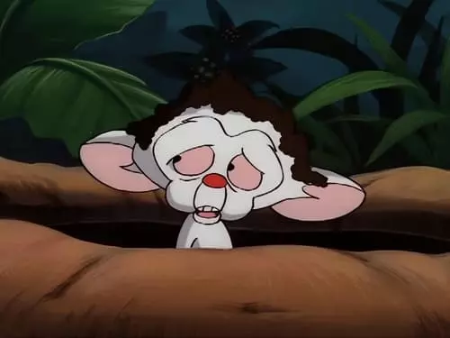 Pinky e o Cérebro S2E7