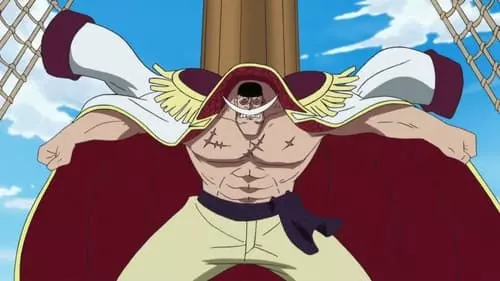 One Piece S13E462