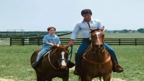 Dallas S11E6