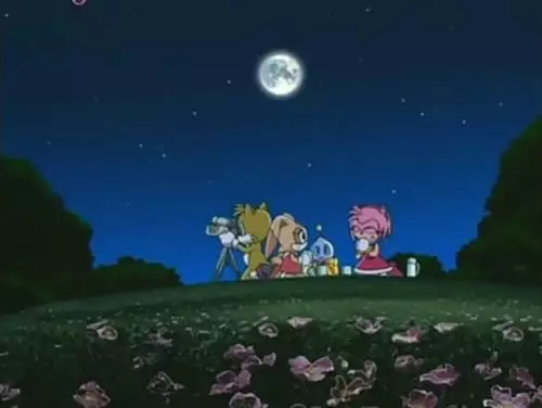 Sonic X S3E1