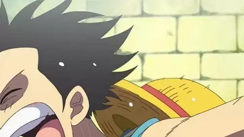 One Piece S13E432