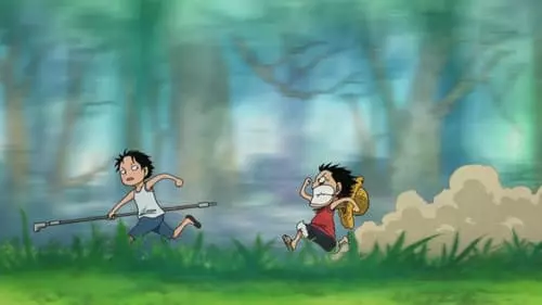 One Piece S13E493