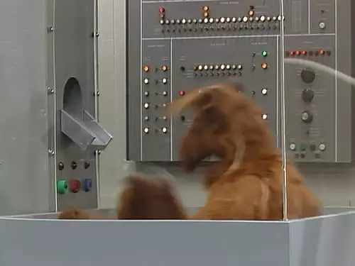 ALF, o ETeimoso S2E24