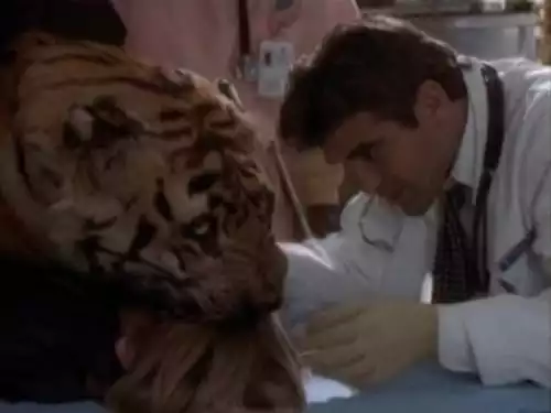 ER: Plantão Médico S1E17