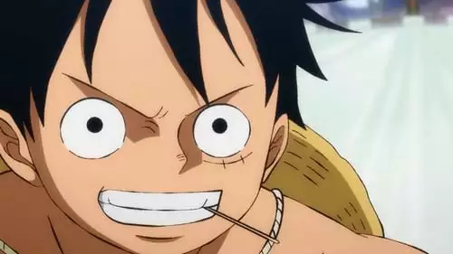 One Piece S21E903