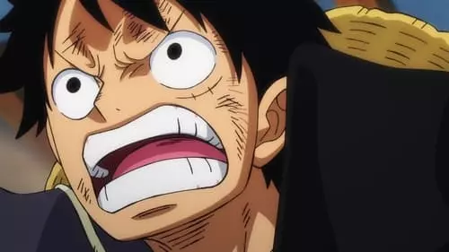 One Piece S21E1005