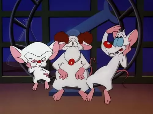 Pinky e o Cérebro S3E3