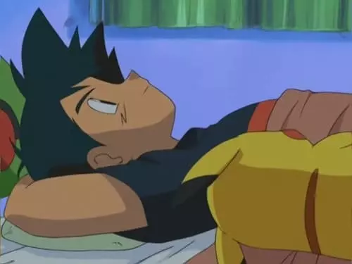 Pokémon S5E65