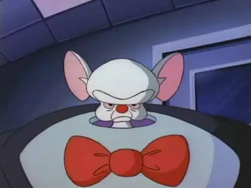 Pinky e o Cérebro S1E2