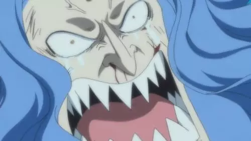 One Piece S14E564