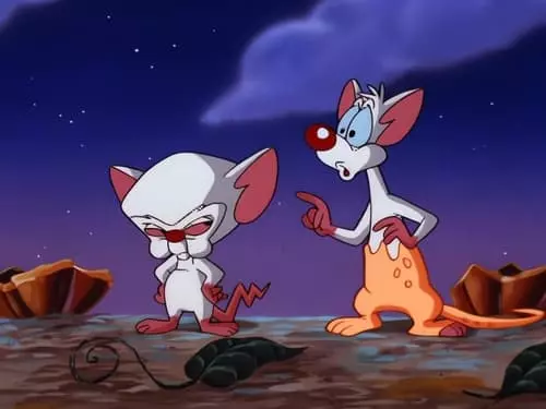 Pinky e o Cérebro S3E25