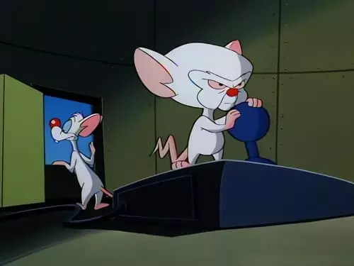 Pinky e o Cérebro S1E16