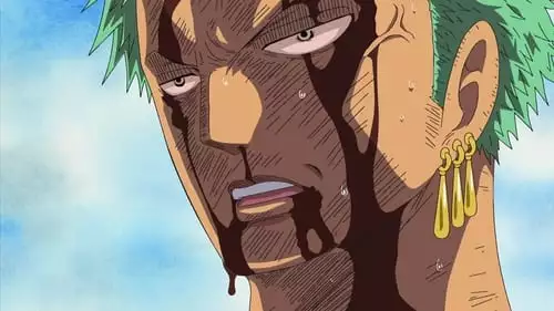 One Piece S10E377