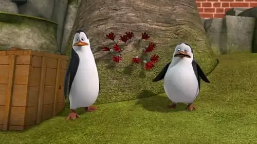 Os Pinguins de Madagascar S2E22