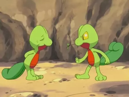 Pokémon S6E7