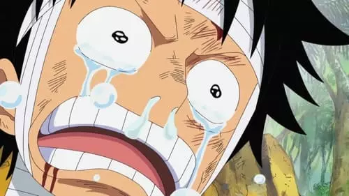 One Piece S13E505