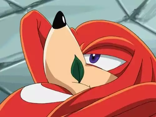 Sonic X S1E17