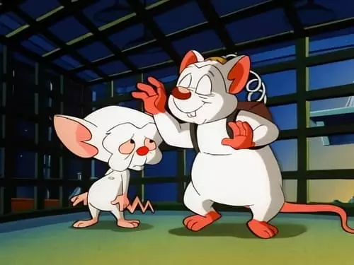 Pinky e o Cérebro S1E19