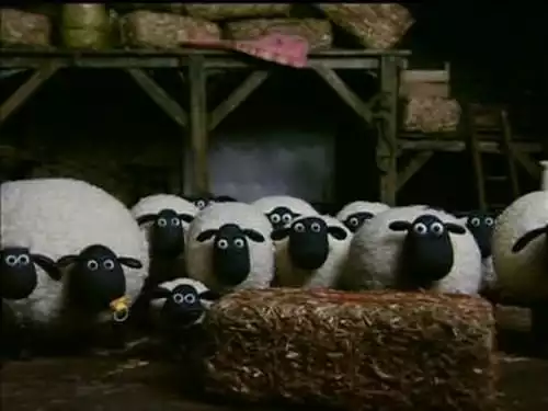 Shaun, o Carneiro S1E35