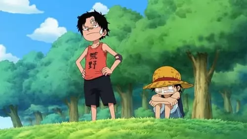 One Piece S13E503