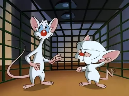 Pinky e o Cérebro S2E13