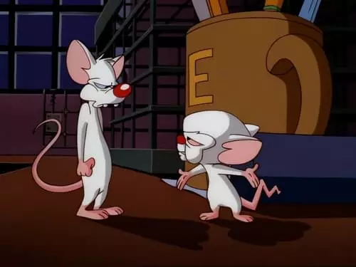 Pinky e o Cérebro S3E39