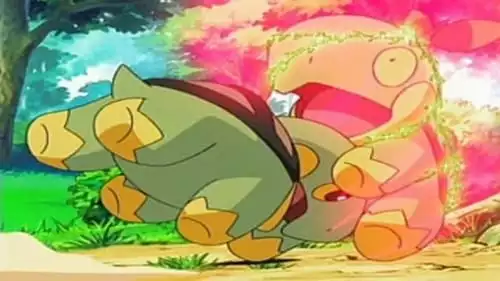 Pokémon S10E31