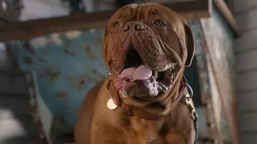 Turner e Hooch S1E12